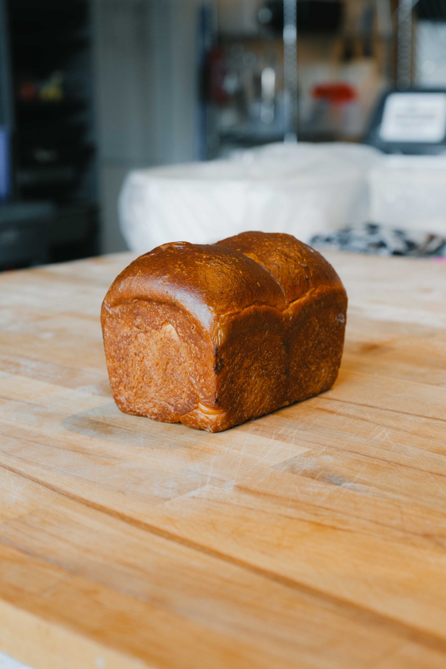 Brioche