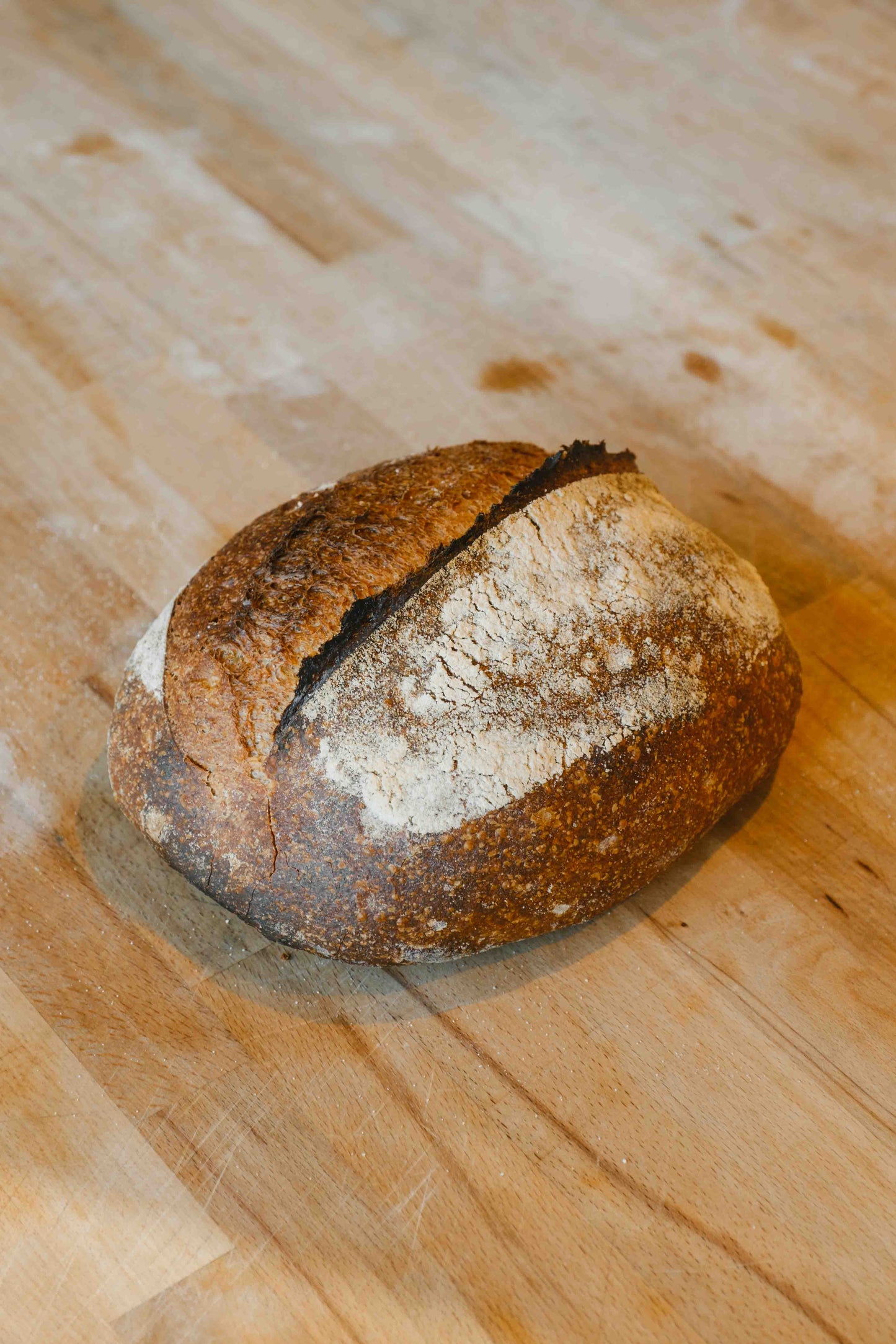 Wildfarmed Sourdough Basic - Small