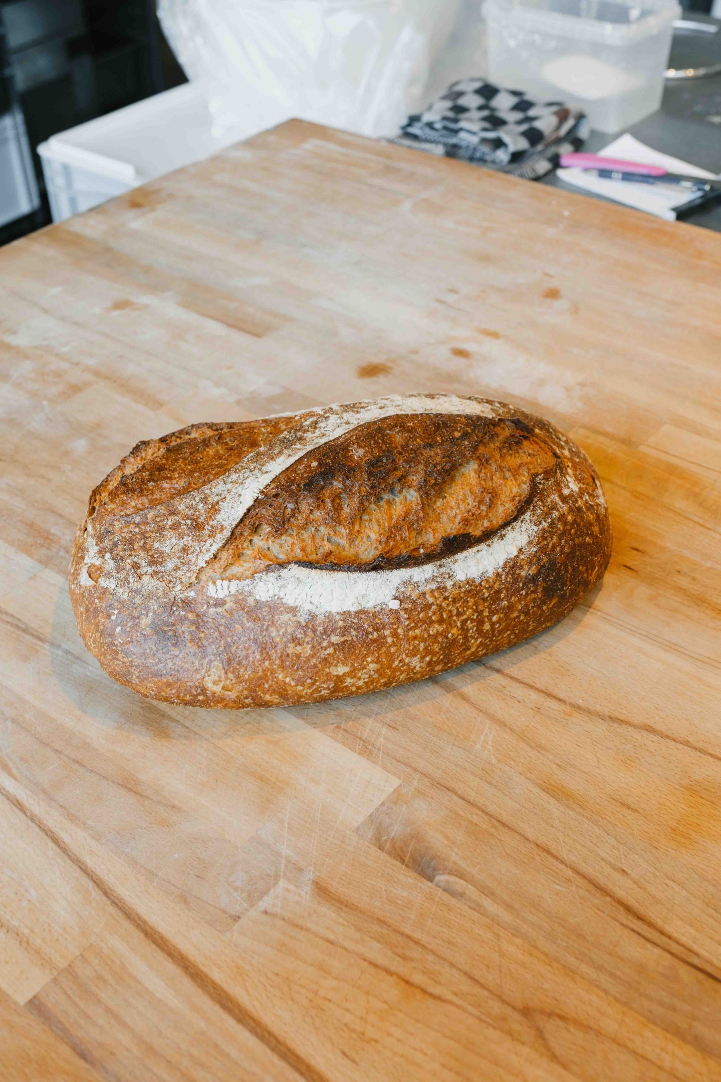 Wildfarmed Sourdough Basic - Big